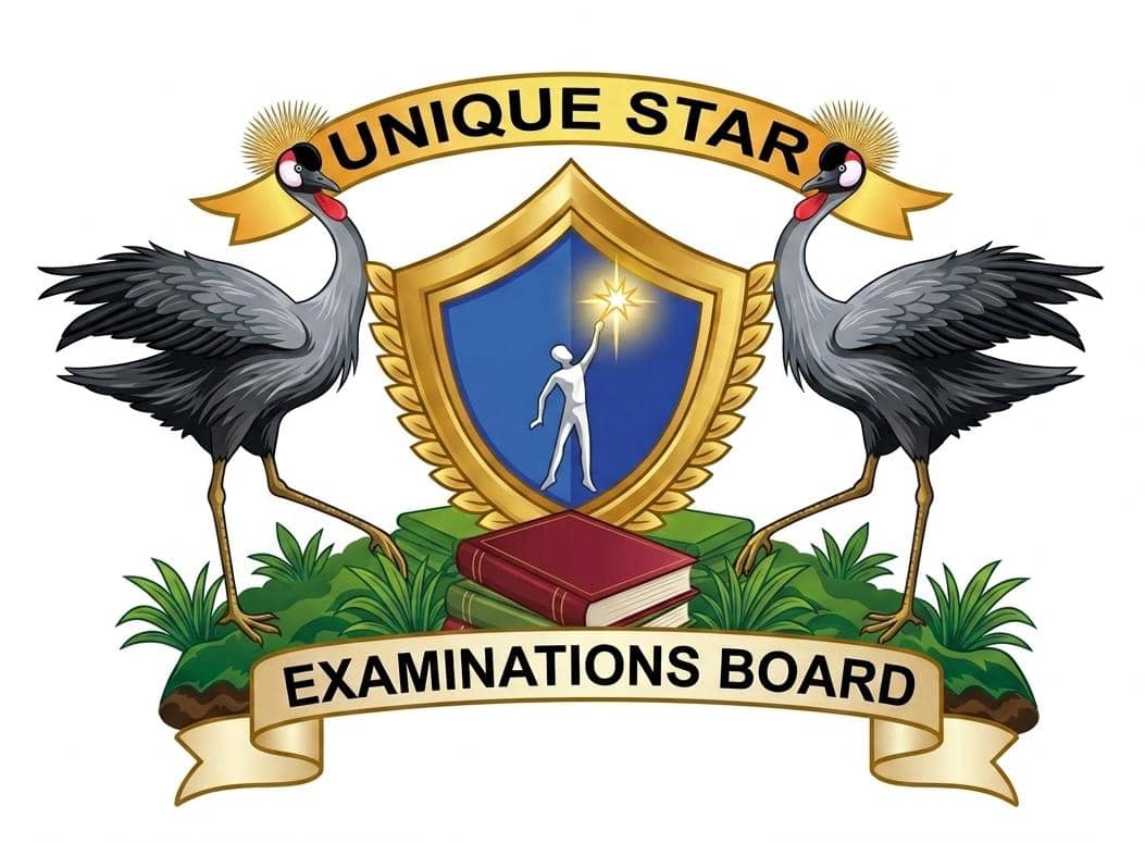 Unique Star Logo